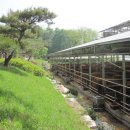 일환농장 이미지