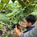 찬샘마을 이미지