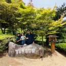 문화조경 - 함양군 운림1길 20 | 평창 가볼 만한 곳, 효석문화마을 방문 후기 | 메밀꽃과 문학이 함께하는 여행