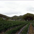 산외면보건지소 이미지