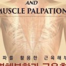 마포홍익한의원 이미지