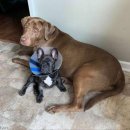 가나가와치과의원 이미지