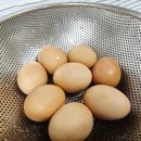 농업회사법인 주식회사 유일식품 | 농업회사법인 양계장청년 주식회사 유정란 난각1번