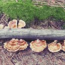 함허동천회관 이미지