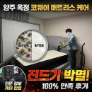 코웨이골든 | 양주 옥정 코웨이 매트리스 케어 비용 및 7단계 과정: 집먼지 진드기 박멸 후기
