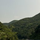 봉정마을 | 정선 스테이 봉정 | 숲속 감성 독채에서의 1박 2일 🌲🛁