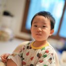 핑크피씨 | 소니 50mm f1.2 GM (SEL50F12GM) 결과물 위주 후기, 쌍둥이 실내 스냅 사진 리뷰