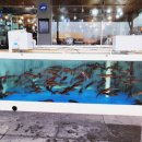 사천항주문진물회 이미지