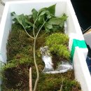 남천삼계탕 이미지