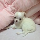 바우스토리 이미지