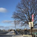 하버드식당 | 뉴욕 여행.18(2)] 보스턴 당일치기 근교 일정 : 하버드 브릿지, 뉴버리스트리트 해리포터샵, 공립도서관...