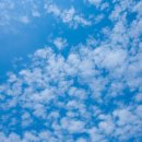 맑은하늘 이미지