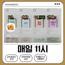 상식영어 | 카톡으로 받는 영어 습관 매일11시 카톡영어 시작한 후기