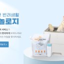 펫츠올 네이버블로그