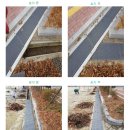 쌍치초등학교 이미지