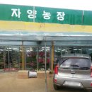 자양농장 네이버블로그