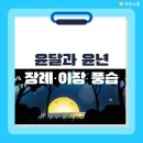 윤달에 장례 치러도 될까? 윤년·이장 풍습까지 한 번에 정리 이미지