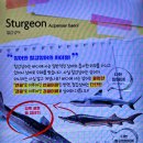 롯데월드아쿠아리움 이미지