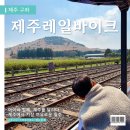 아리농장 | 제주아이랑가볼만한곳 제주레일바이크 :: 여유롭게 즐긴 후기