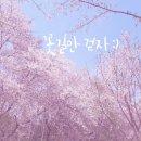 꽃길 이미지