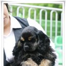 고양고등학교 이미지