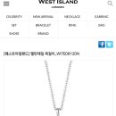 아일랜드 앤 코 이미지