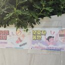 거제생각속의집펜션1 | 거제 생각속의집펜션 오션뷰 사계절 미온수수영장 슈페리어룸 9 푸켓 후기