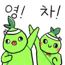 코코넛콘 이미지