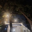 바다풍경펜션도시어부 이미지