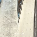 (주)펫스테이트 | 결로로 생긴 매트리스 곰팡이 제거 @힐스테이트 송도 더테라스
