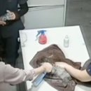 바로 동물병원 이미지