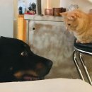 루비약국 이미지