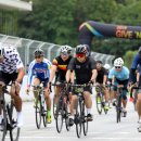 기브코리아 이미지