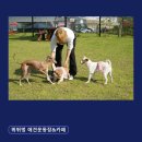 뛰뛰멍 네이버블로그