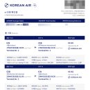 [탑승 후기] 대한항공 인천-세부 KE601,602 이코노미 왕복 후기(기내식, B777-300 좌석 지정 꿀팁, 세부...