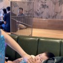 카페서다 이미지