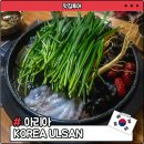 아리아 영계백숙 왕갈비탕 | 울산 동구 일산지 맛집 아리아 영계백숙 왕갈비탕 후기