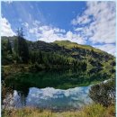 대조-004 이미지