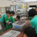 매현초교 이미지