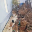 주생면 정충마을 | 남원시 방치해둔 생활폐기물 음식물 버리는 업체
