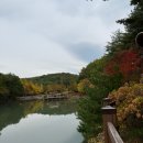 재래식할머니 순두부 | 속초 가볼만한곳 설악산자생식물원 속초 재래식 할머니 순두부