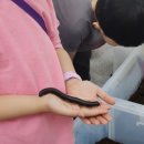 창녕우포곤충나라 이미지