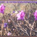 사파동276 이미지