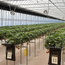 서재원 농장 이미지