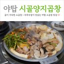 시골곱창 | 야탑역 소곱창 맛집 부추무침과 곱이 가득한 시골양지곱창 (feat. 내돈내산)