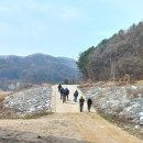 효석문학100리길 제1구간 이미지