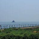 장골해변 네이버블로그