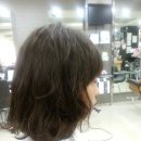 래인헤어라인 이미지