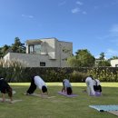 신성의숲