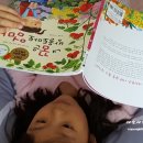 아영작은도서관 이미지